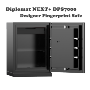 DPS7000