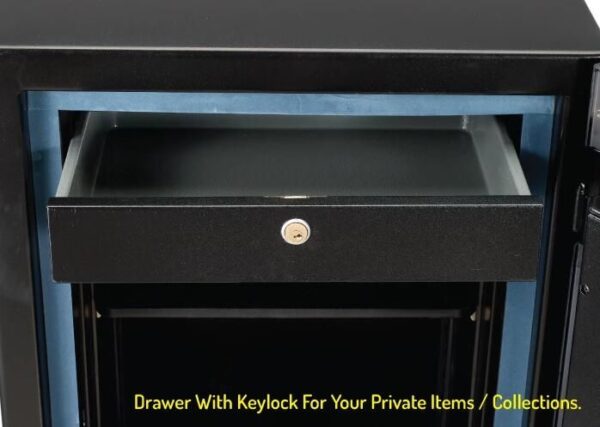 LUCELL AEGIS Safe EGE-085-BZ-FP 09