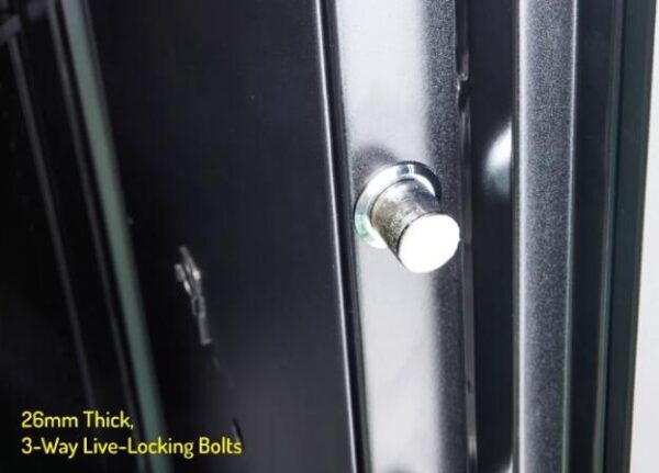 LUCELL AEGIS Safe EGE-170-BZ-FP 05