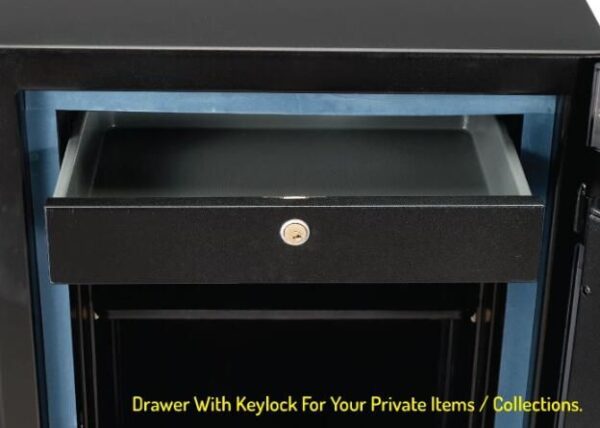 LUCELL AEGIS Safe EGE-170-BZ-FP 08