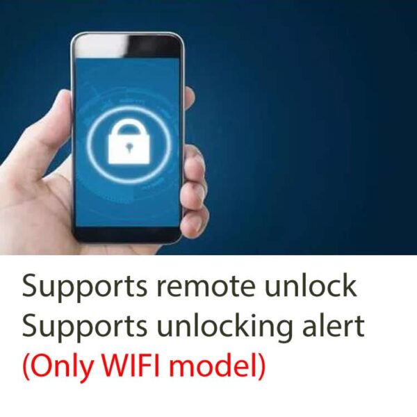 NIKAWA Fingerprint Safe N2-53 02